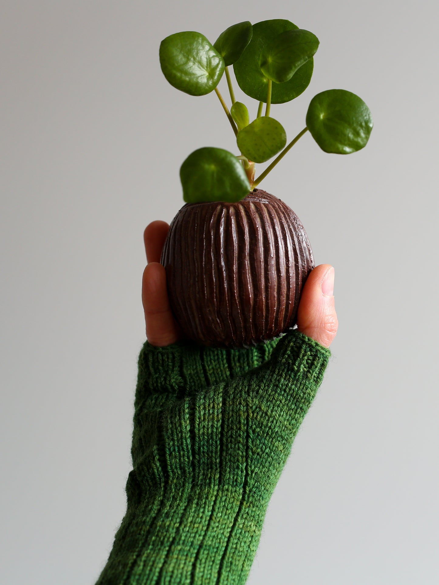 Pilea mitts